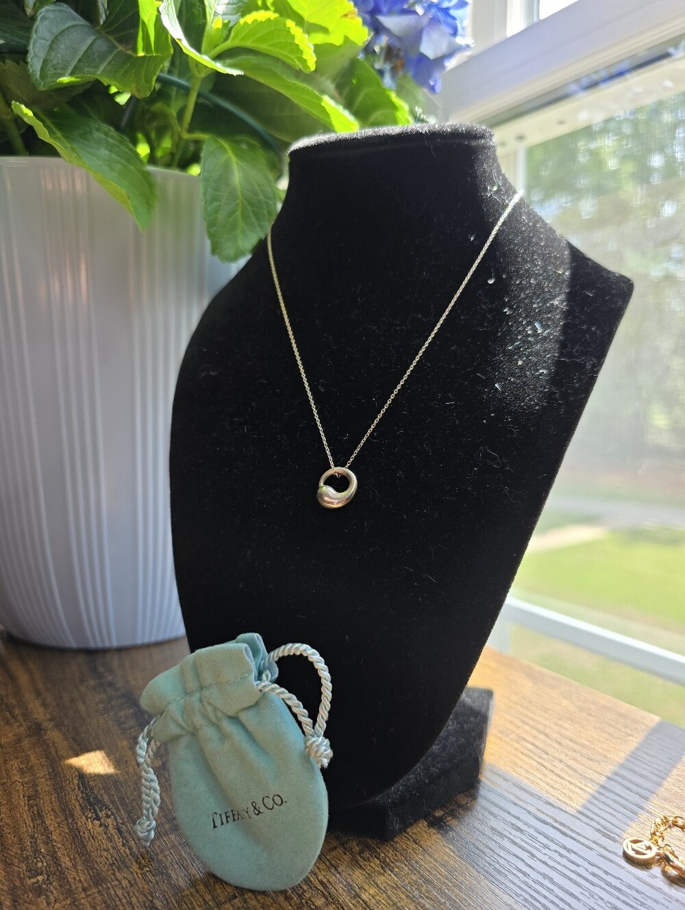 Tiffany & Co. Elsa Peretti Sterling Silver Eternal Circle Pendant Necklace